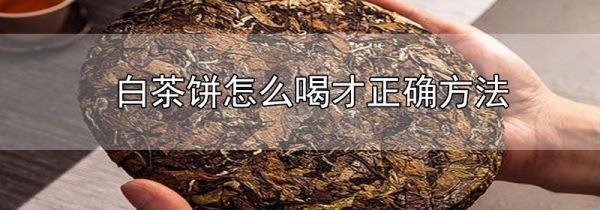 白茶饼怎么喝才正确方法
