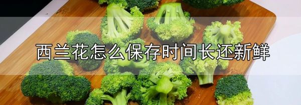 西兰花怎么保存时间长还新鲜