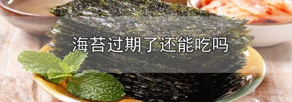 海苔过期了还能吃吗