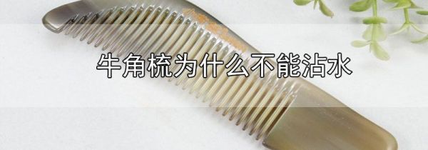 牛角梳为什么不能沾水