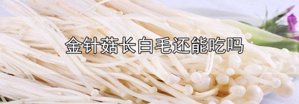 金针菇长白毛还能吃吗