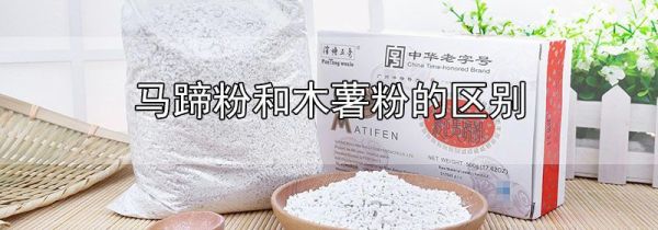马蹄粉和木薯粉的区别