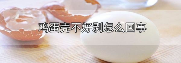 鸡蛋壳不好剥怎么回事