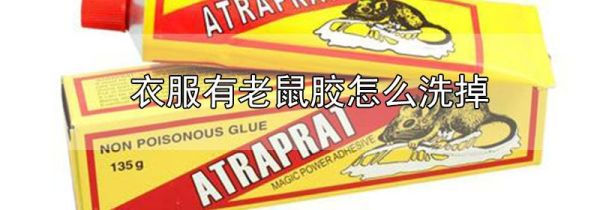 衣服有老鼠胶怎么洗掉