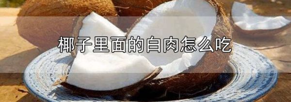 椰子里面的白肉怎么吃