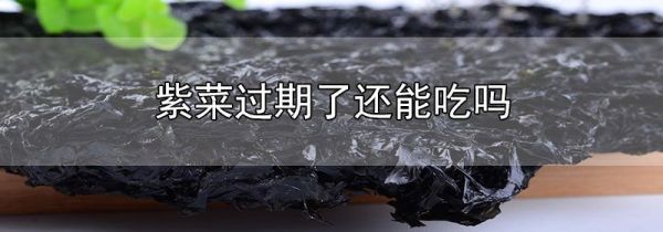 紫菜过期了还能吃吗