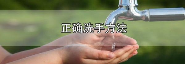 正确洗手方法