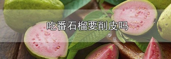 吃番石榴要削皮吗
