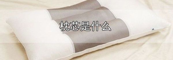 枕芯是什么