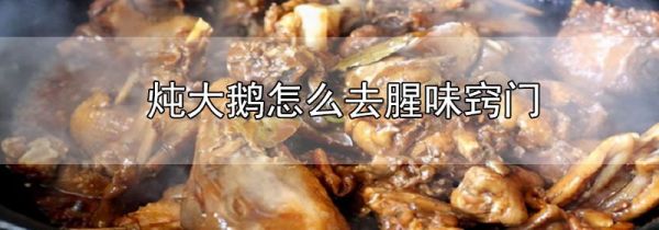 炖大鹅怎么去腥味窍门