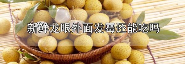 新鲜龙眼外面发霉还能吃吗