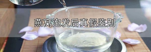 燕窝泡发后真假鉴别