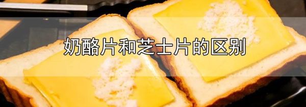 奶酪片和芝士片的区别