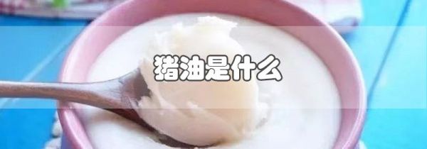 猪油是什么