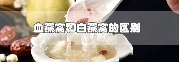 血燕窝和白燕窝的区别