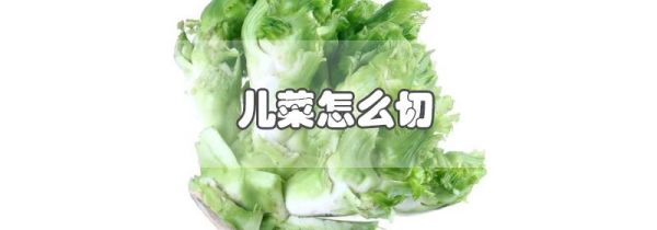 儿菜怎么切