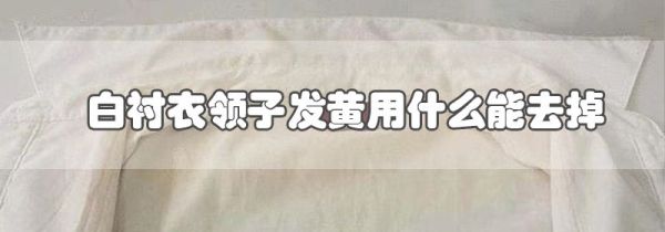 白衬衣领子发黄用什么能去掉