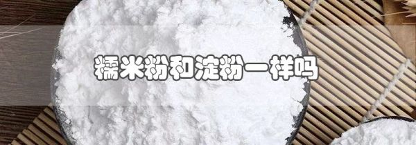 糯米粉和淀粉一样吗