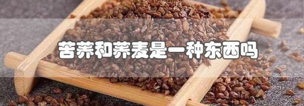 苦荞和荞麦是一种东西吗