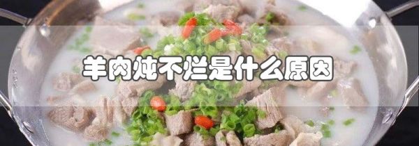 羊肉炖不烂是什么原因