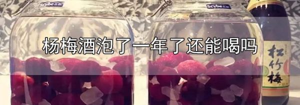 杨梅酒泡了一年了还能喝吗