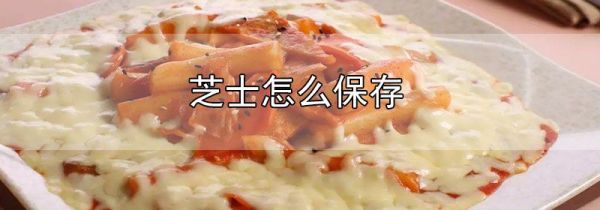 芝士怎么保存
