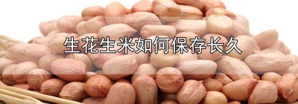 生花生米如何保存长久