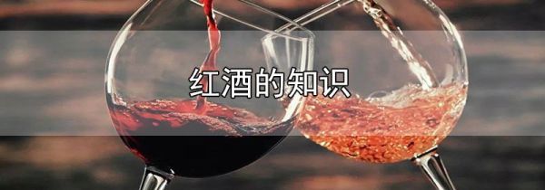 红酒的知识