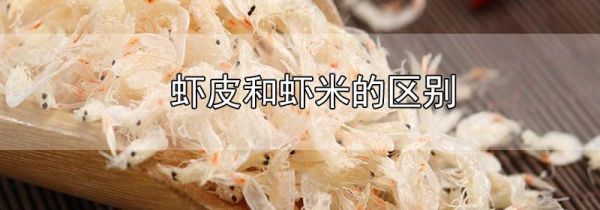 虾皮和虾米的区别