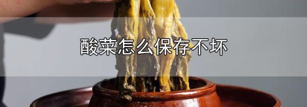 酸菜怎么保存不坏