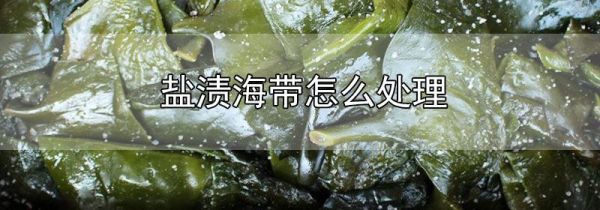 盐渍海带怎么处理