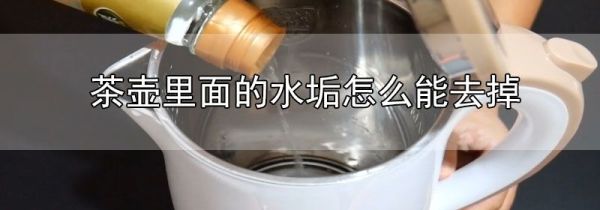 茶壶里面的水垢怎么能去掉