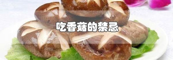 吃香菇的禁忌