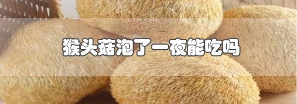 猴头菇泡了一夜能吃吗