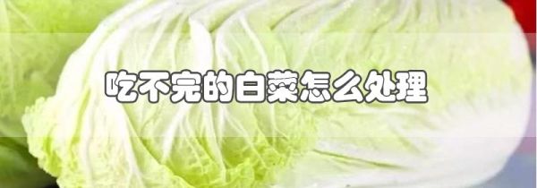 吃不完的白菜怎么处理