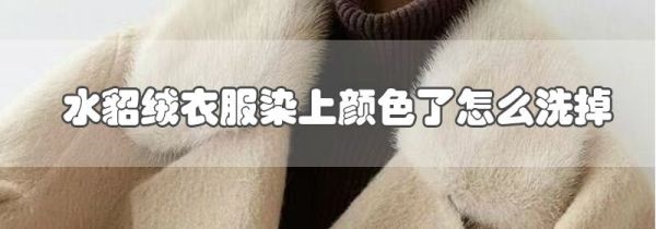 水貂绒衣服染上颜色了怎么洗掉