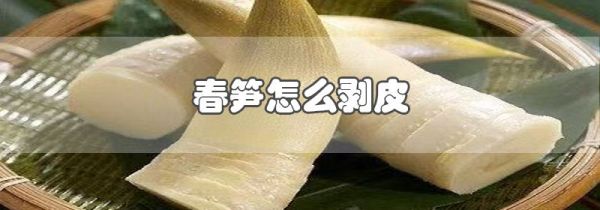 春笋怎么剥皮