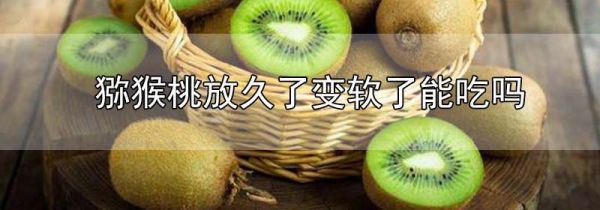 猕猴桃放久了变软了能吃吗