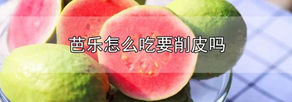 芭乐怎么吃要削皮吗