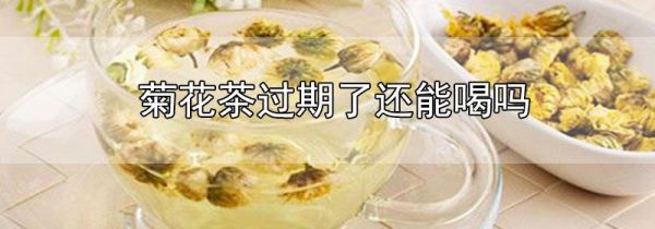 菊花茶过期了还能喝吗