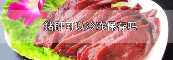 猪肝可以冷冻保存吗