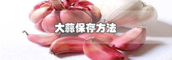 大蒜保存方法