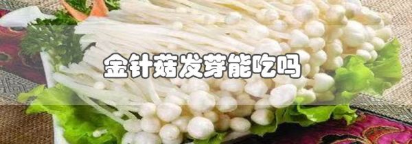 金针菇发芽能吃吗