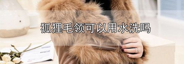 狐狸毛领可以用水洗吗
