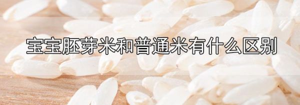 宝宝胚芽米和普通米有什么区别