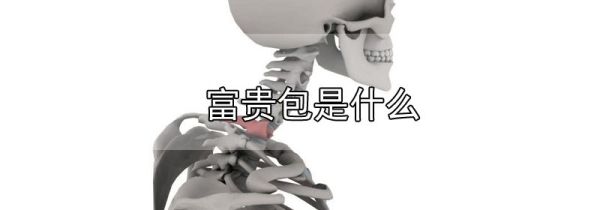富贵包是什么