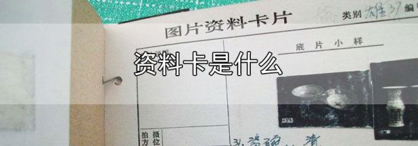 资料卡是什么