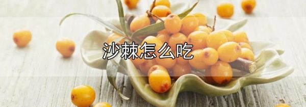 沙棘怎么吃