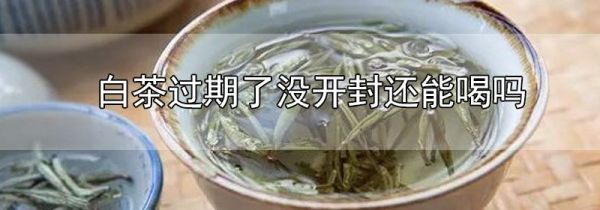 白茶过期了没开封还能喝吗