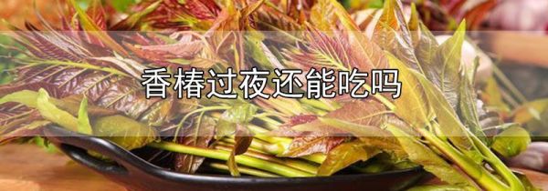 香椿过夜还能吃吗